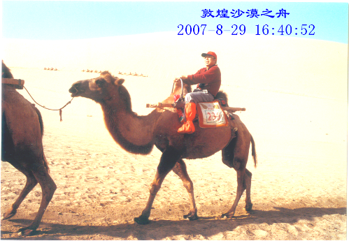敦煌沙漠之舟.png