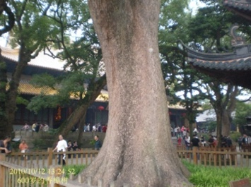 六十七 人生旅游高峰期,走南闯北到南欧