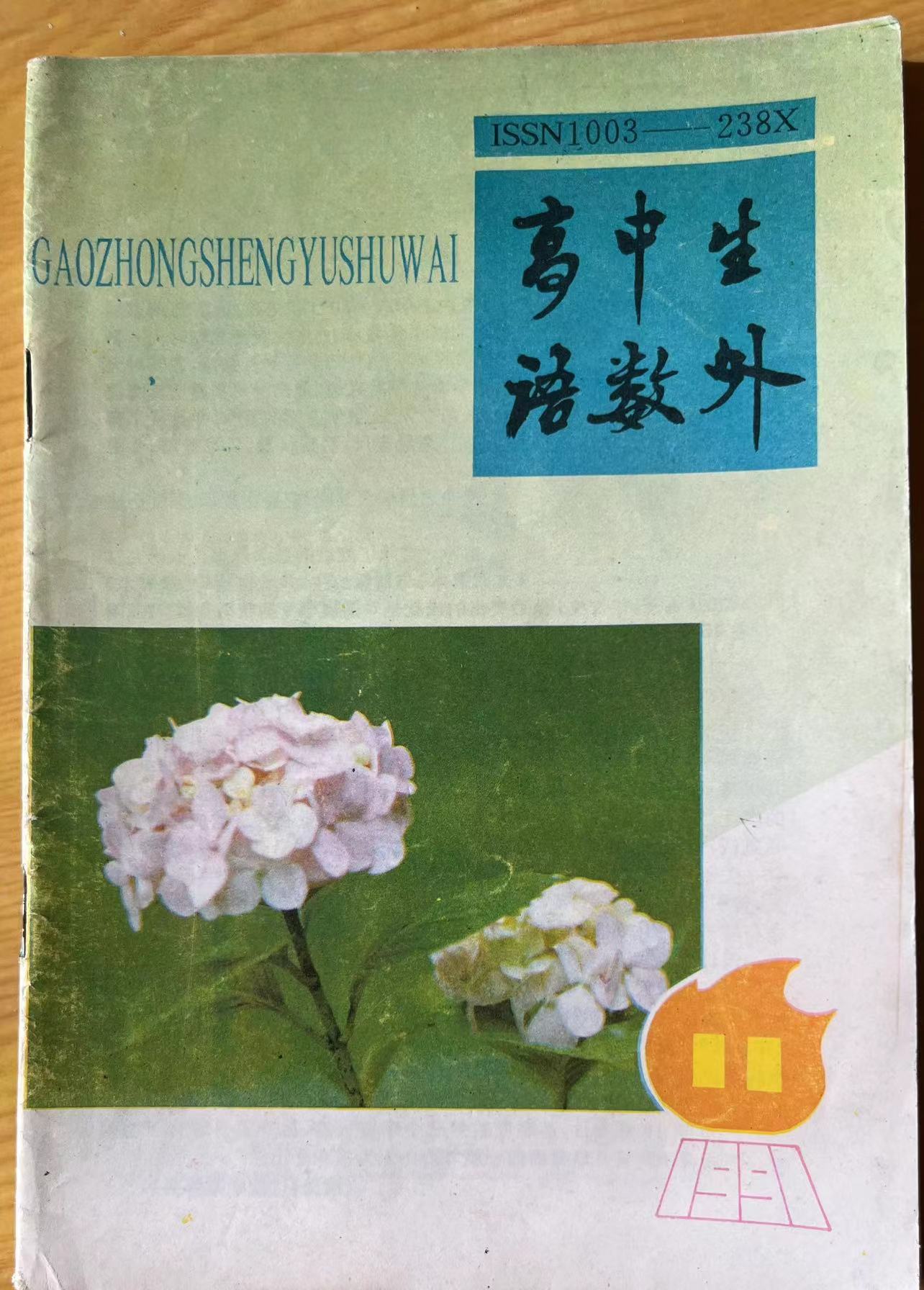 高中生语数外11:1991.jpg